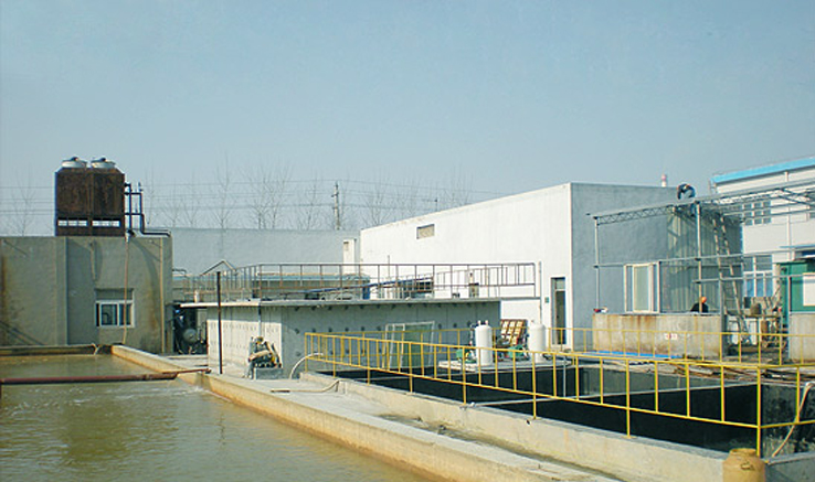 企業(yè)風采
